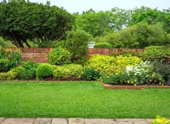 landscaping services Brooklyn Park